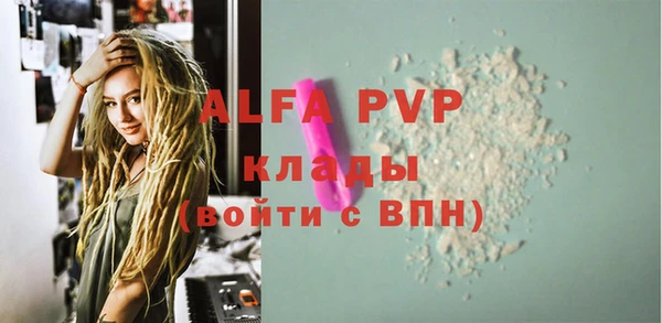 PSILOCYBIN Бронницы