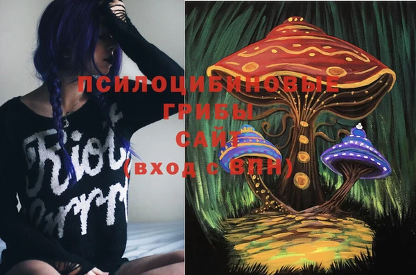 метамфетамин Сатка