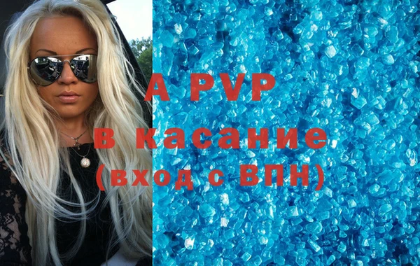 спиды Бородино