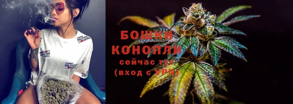 PSILOCYBIN Бронницы