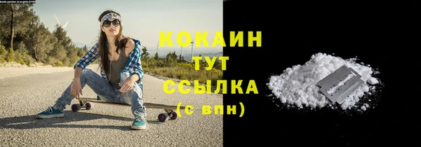 PSILOCYBIN Бронницы