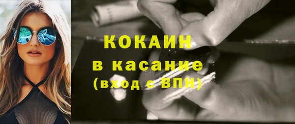 спиды Бородино