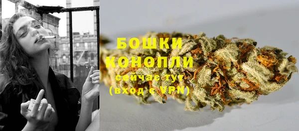 PSILOCYBIN Бронницы