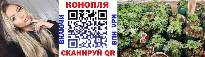 МАРИХУАНА план  даркнет какой сайт  OMG как зайти  Медногорск  хочу  